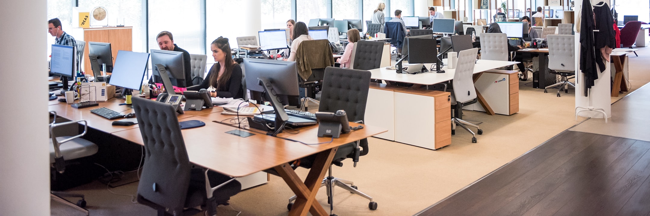 An open-plan office with colleagues working at their desks in natural light